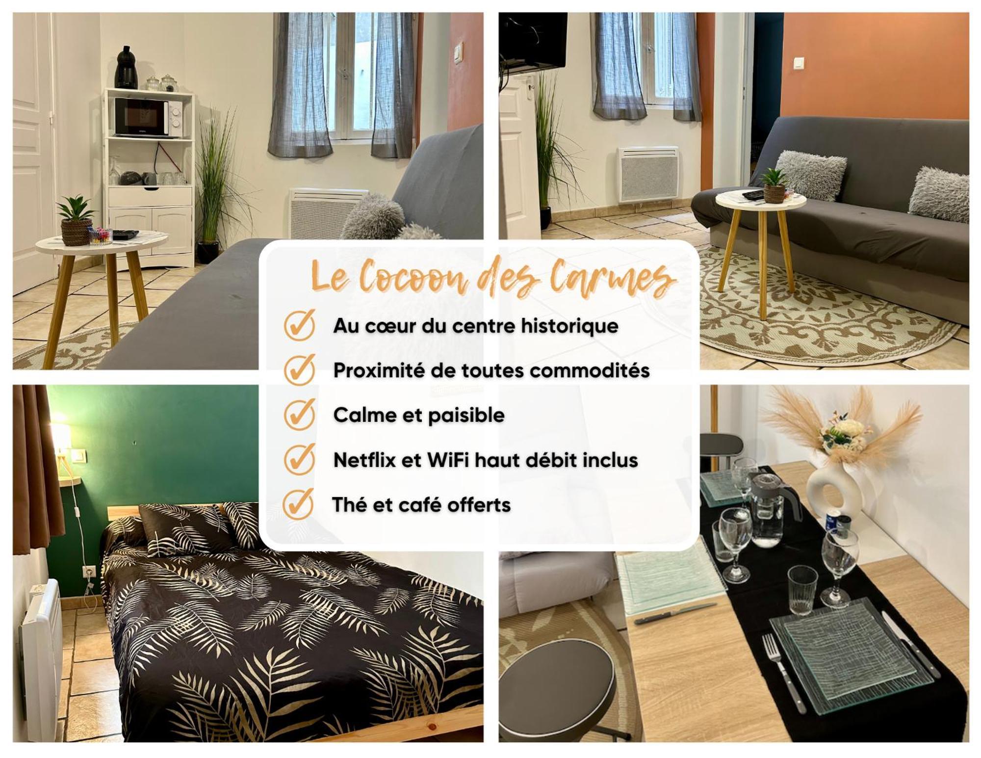 Apartamento Le Cocon Des Carmes - Hypercentre Aviñón Exterior foto